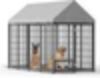 Picture of Cesicia Outdoor Dog Kennel