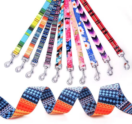 Picture of Double Buckle Pet Collars Leashes Harnesses Polyester Webbing Length Adjustable Pet Leash