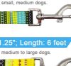 Picture of Double Buckle Pet Collars Leashes Harnesses Polyester Webbing Length Adjustable Pet Leash