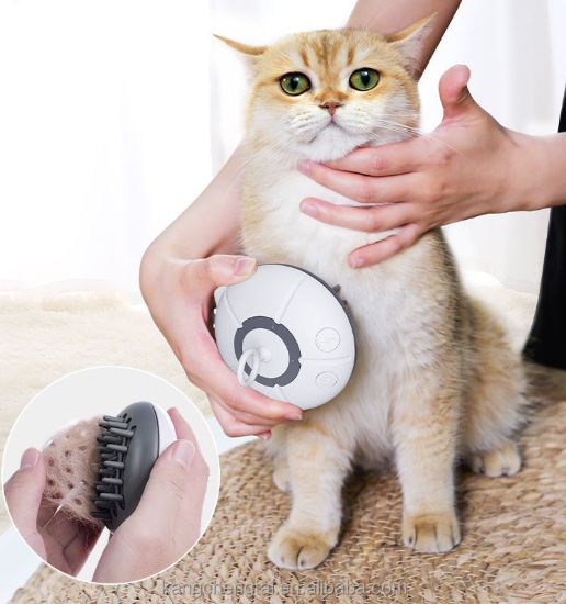 Picture of Promotional Eco-Friendly ABS Pet Hair Removal Comb Steam Silicone Brush Spray for Cats and Dogs