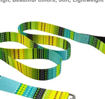 Picture of High Quality Accessories Dog Leash Harnesses Polyester Webbing Length Adjustable Pet Dog Leash